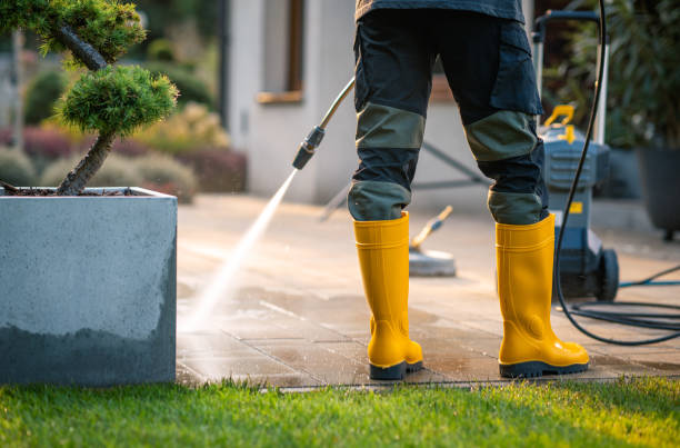 Best Pressure Washing Near Me  in , NM